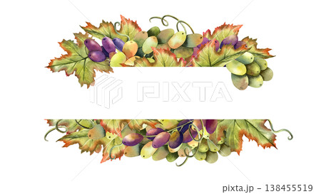 Watercolor grapevine rectangular line frame template with copy space. Green black grapes horizontal banner. Isolated Illustration of autumn berries, vine bunch. Graceful juicy botanical berry Watercolor grapevine rectangular line frame template with copy space. Green black grapes horizontal banner. Isolated Illustration of autumn berries, vine bunch. Graceful juicy botanical berry 138455519