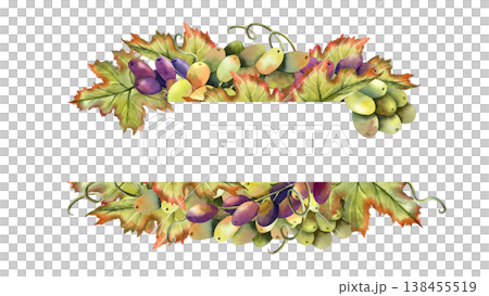 Watercolor grapevine rectangular line frame template with copy space. Green black grapes horizontal banner. Isolated Illustration of autumn berries, vine bunch. Graceful juicy botanical berry Watercolor grapevine rectangular line frame template with copy space. Green black grapes horizontal banner. Isolated Illustration of autumn berries, vine bunch. Graceful juicy botanical berry 138455519