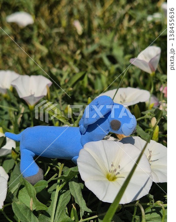 blue horse in garden. children's crafts from plasticine. children's creativity. toys blue horse in garden. children's crafts from plasticine. children's creativity. toys 138455636