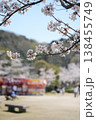 桜のある公園　屋台 138455749