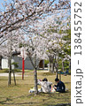 満開の桜の下で花見をする 138455752