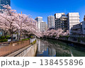 目黒川の桜とオフィスビル 138455896
