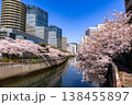目黒川の桜とオフィスビル 138455897