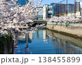 目黒川の桜とオフィスビル 138455899