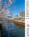 目黒川の桜とオフィスビル 138455900