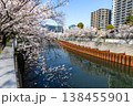 目黒川の桜とオフィスビル 138455901