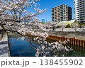 目黒川の桜とオフィスビル 138455902