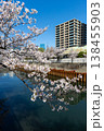 目黒川の桜とオフィスビル 138455903