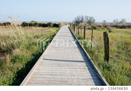 Wooden boardwalk leading through coastal grassland to the sea under clear blue sky scenic nature landscape Wooden boardwalk leading through coastal grassland to the sea under clear blue sky scenic nature landscape 138456630