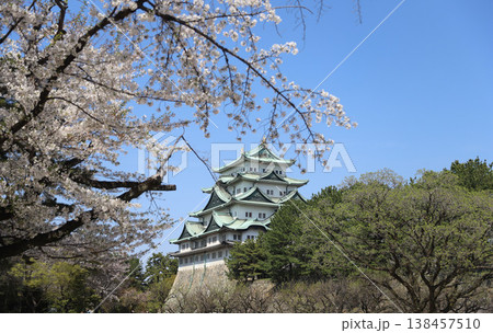 名古屋城 愛知県 名古屋市 中区 名古屋城 愛知県 名古屋市 中区 138457510