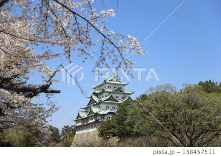 名古屋城　愛知県　名古屋市　中区 138457511