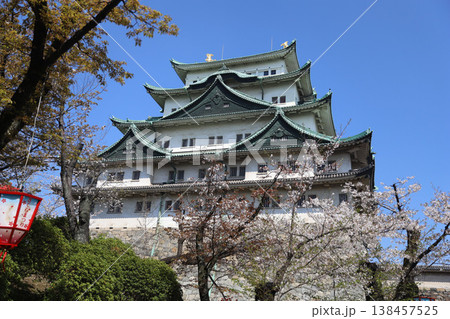 名古屋城　愛知県　名古屋市　中区 138457525