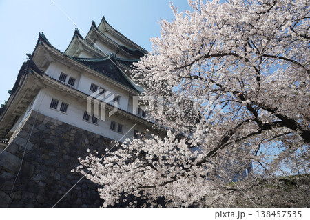 名古屋城　愛知県　名古屋市　中区 138457535