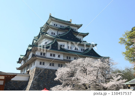 名古屋城　愛知県　名古屋市　中区 138457537