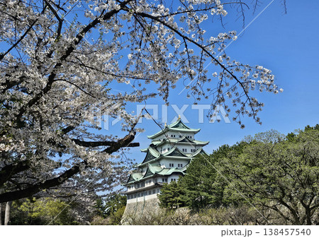 名古屋城　愛知県　名古屋市　中区 138457540