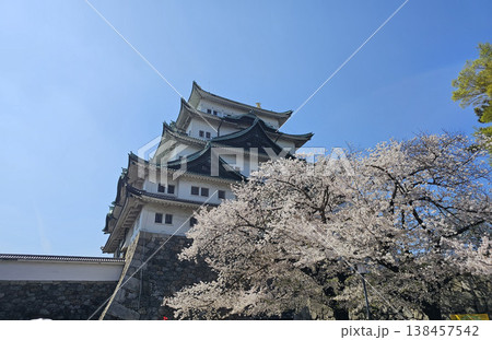 名古屋城　愛知県　名古屋市　中区 138457542