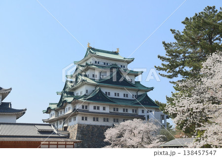 名古屋城　愛知県　名古屋市　中区 138457547