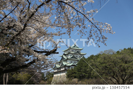 名古屋城 愛知県 名古屋市 中区 名古屋城 愛知県 名古屋市 中区 138457554