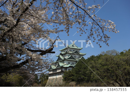名古屋城　愛知県　名古屋市　中区 138457555