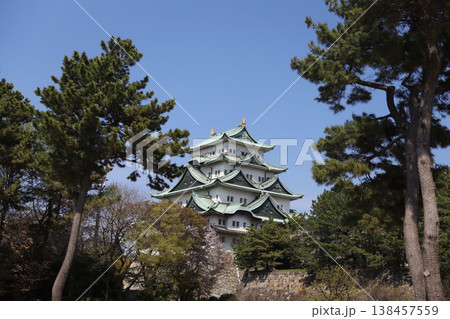 名古屋城　愛知県　名古屋市　中区 138457559