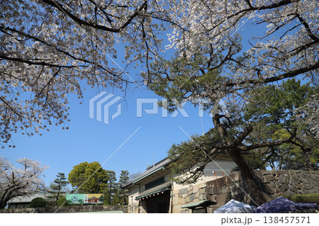 名古屋城 愛知県 名古屋市 中区 名古屋城 愛知県 名古屋市 中区 138457571