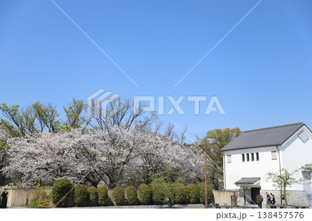 名古屋城 愛知県 名古屋市 中区 名古屋城 愛知県 名古屋市 中区 138457576