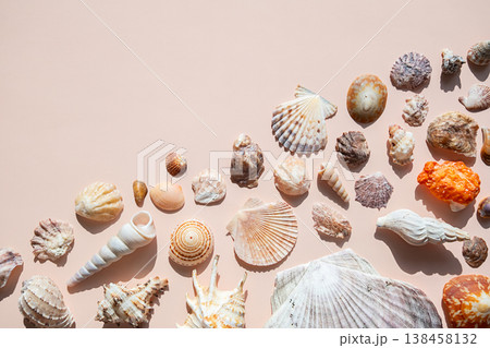 Collection of various sea shells arranged on pastel background. 138458132
