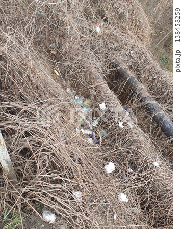 Household garbage and plastic bottles among dry grass and old pipes. The problem of environmental pollution Household garbage and plastic bottles among dry grass and old pipes. The problem of environmental pollution 138458259