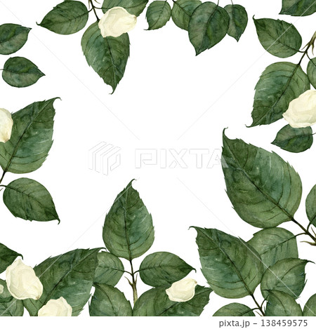 Watercolor green leaf frame with white background Watercolor green leaf frame with white background 138459575