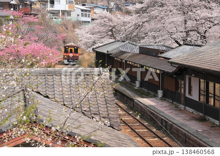 わたらせ渓谷鐵道「桜の花咲く春の水沼駅俯瞰風景」 わたらせ渓谷鐵道「桜の花咲く春の水沼駅俯瞰風景」 138460568