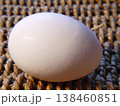 新鮮な卵 138460851