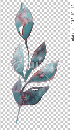 Hand painted watercolor twig with smoky teal leaves isolated illustration. Botanical element 138461116