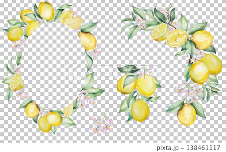 Watercolor lemon frame and branches set with citrus fruits. Summer wedding stationery clipart Watercolor lemon frame and branches set with citrus fruits. Summer wedding stationery clipart 138461117