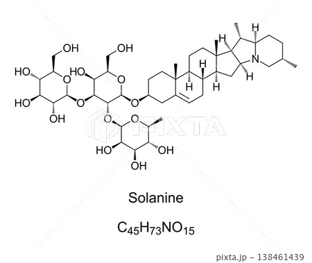 Solanine chemical formula. Glycoalkaloid poison found in potatoes, and in nightshade family within genus Solanum. Occur in leaves, fruit, and tubers, and is not rendered ineffective by cooking. Vector Solanine chemical formula. Glycoalkaloid poison found in potatoes, and in nightshade family within genus Solanum. Occur in leaves, fruit, and tubers, and is not rendered ineffective by cooking. Vector 138461439