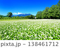 開田高原のそば畑 138461712