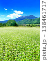 開田高原のそば畑 138461717