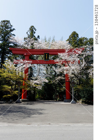 冠稲荷神社の大鳥居と桜 冠稲荷神社の大鳥居と桜 138461728