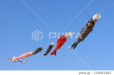 青空を泳ぐ鯉のぼり こいのぼり 鯉幟 端午の節句 真鯉、緋鯉、子鯉 青空を泳ぐ鯉のぼり こいのぼり 鯉幟 端午の節句 真鯉、緋鯉、子鯉 138461865