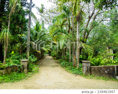 由布島小中学校の跡地（沖縄県竹富町） 138461987
