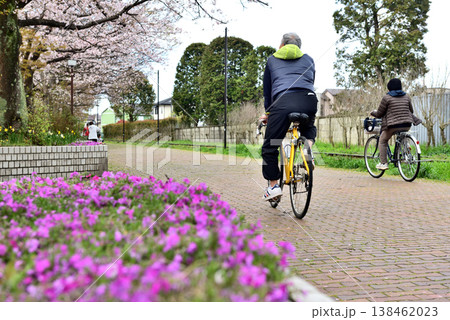 桜満開に咲く寒川の丸太の広場を自転車で走る人 138462023