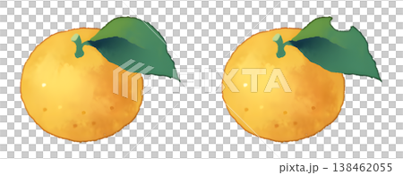 Set of 2 types of mandarins with leaves (normal and insect-damaged), watercolor style, transparent PNG. Set of 2 types of mandarins with leaves (normal and insect-damaged), watercolor style, transparent PNG. 138462055