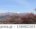 阿蘇山と河津桜 138462163