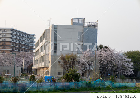 春　埼玉県朝霞市　黒目川沿いの風景　小学校と桜　 138462210