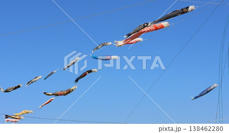 青空を泳ぐ鯉のぼり こいのぼり 鯉幟 端午の節句 真鯉、緋鯉、子鯉 青空を泳ぐ鯉のぼり こいのぼり 鯉幟 端午の節句 真鯉、緋鯉、子鯉 138462280