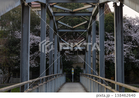 春 埼玉県朝霞市 黒目川沿いの風景 春 埼玉県朝霞市 黒目川沿いの風景 138462640