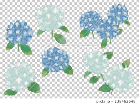 可愛的水彩風格繡球花插畫 可愛的水彩風格繡球花插畫 138462649