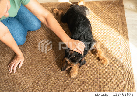 A woman petting companion dog lying on a a woven rug in a sunny home, showing care, comfort, and friendship. Caring and loving pets. A happy moment in life A woman petting companion dog lying on a a woven rug in a sunny home, showing care, comfort, and friendship. Caring and loving pets. A happy moment in life 138462675