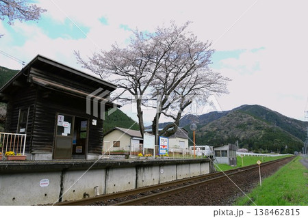 さくらとローカル鉄道 樽見鉄道高科駅 さくらとローカル鉄道 樽見鉄道高科駅 138462815