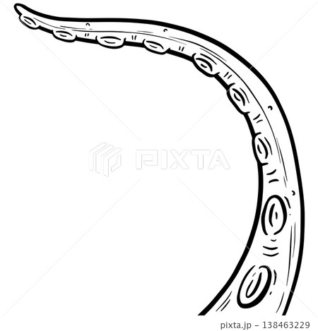 Graphic tentacle octopus suckers vector outline clipart illustration Graphic tentacle octopus suckers vector outline clipart illustration 138463229