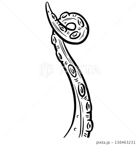 Graphic tentacle octopus suckers vector outline clipart illustration Graphic tentacle octopus suckers vector outline clipart illustration 138463231
